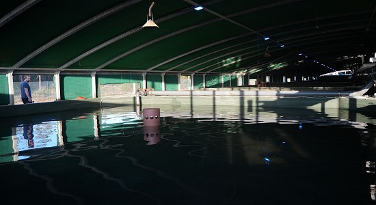 Práticas de aquacultura de precisão